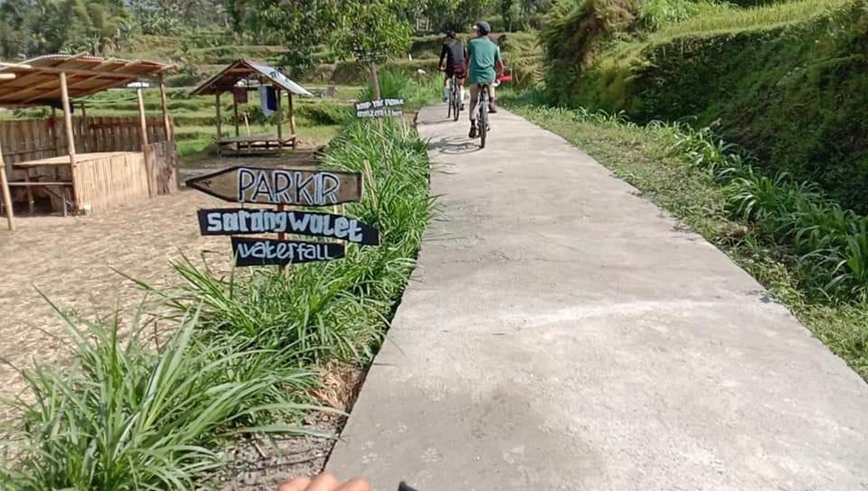 Bale Kembang Kuning Lejlighed Tetebatu Eksteriør billede