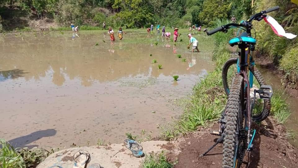 Bale Kembang Kuning Lejlighed Tetebatu Eksteriør billede